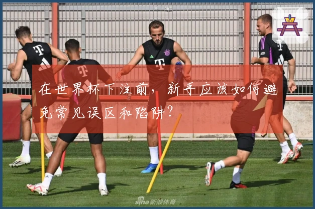 在世界杯下注前,新手应该如何避免常见误区和陷阱?